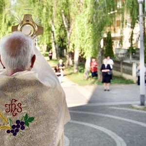 Nedjelja Božjega milosrđa proslavljena u Trnovčici